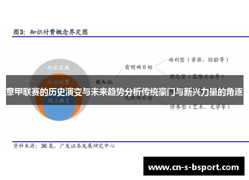 意甲联赛的历史演变与未来趋势分析传统豪门与新兴力量的角逐
