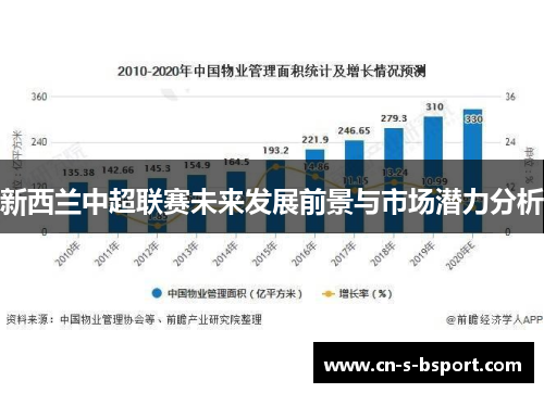 新西兰中超联赛未来发展前景与市场潜力分析 新西兰中超联赛未来发展前景与市场潜力分析