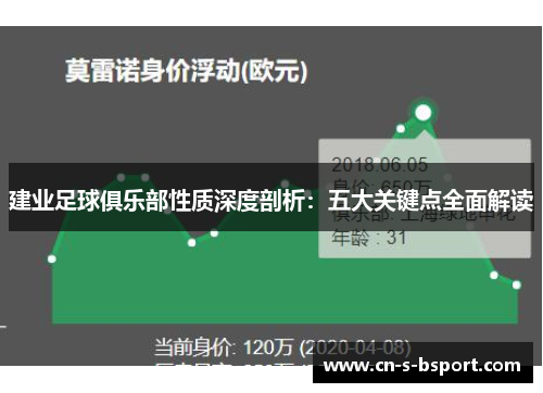 建业足球俱乐部性质深度剖析：五大关键点全面解读
