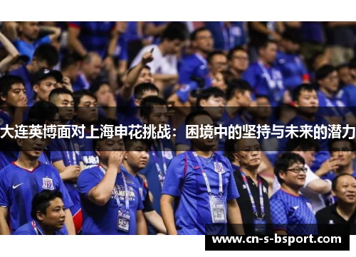 大连英博面对上海申花挑战：困境中的坚持与未来的潜力
